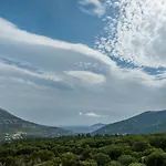 Andreas * Agia Efimia